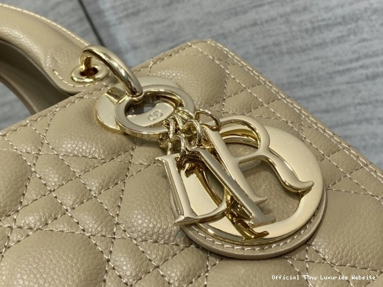 Tony Luxuries Gold Calfskin-24cm diro large Lady 0729
